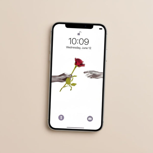 Set as Mobile WallPaper, Desktop Screensaver - Gift of rose