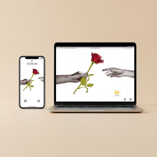 Gift of Rose Screensaver